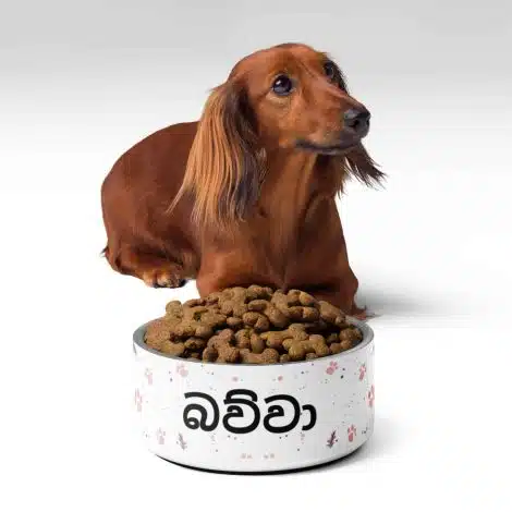 Customised Sri Lankan pet bowl for dogs and cats
